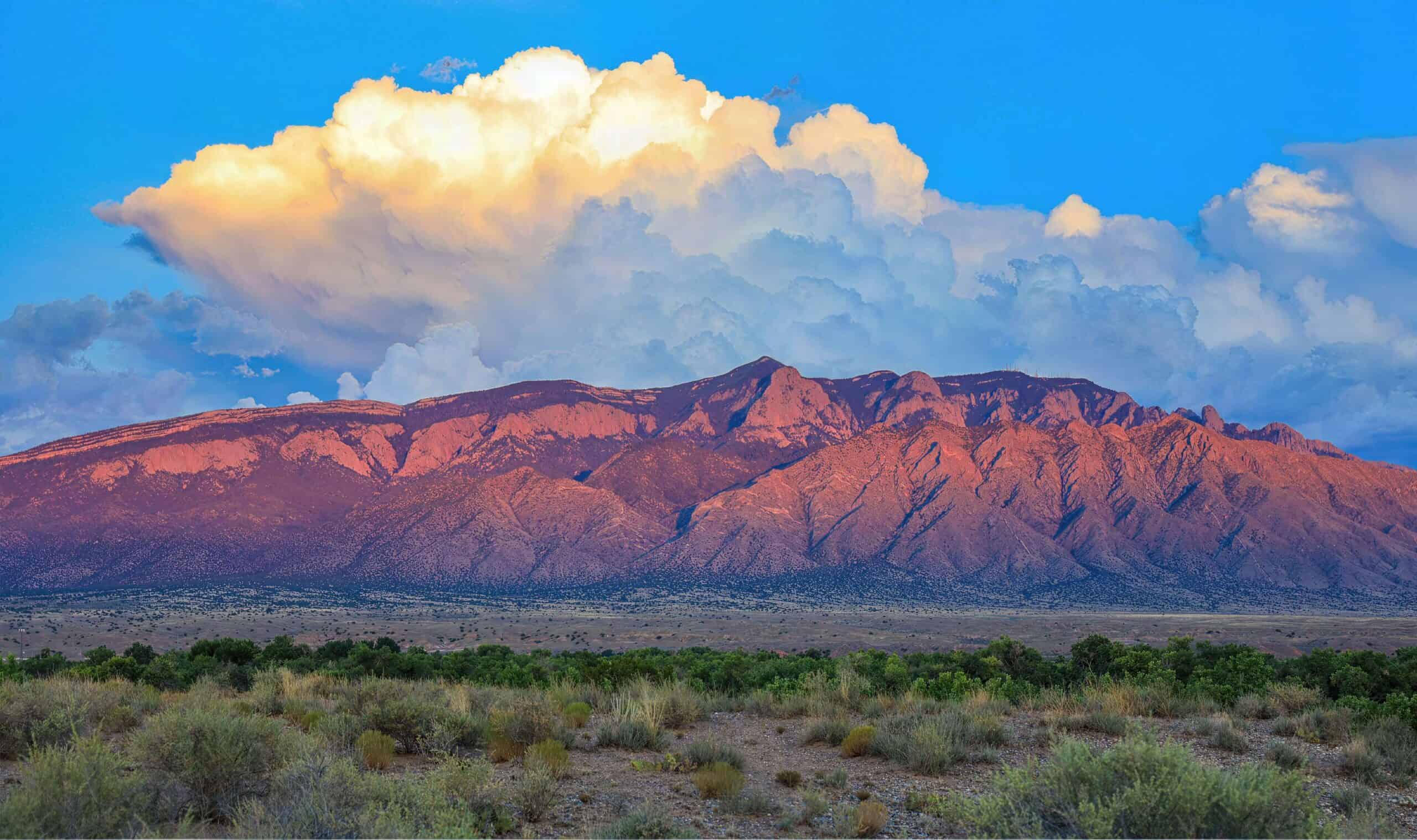 View of the Sandia Mountains from across the Bosque